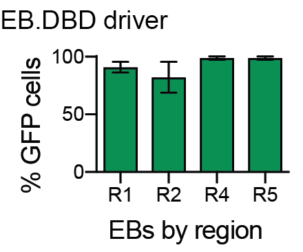 Graph displaying percentages of EBs with GFP expression by region when crossed to the PM.AD driver.